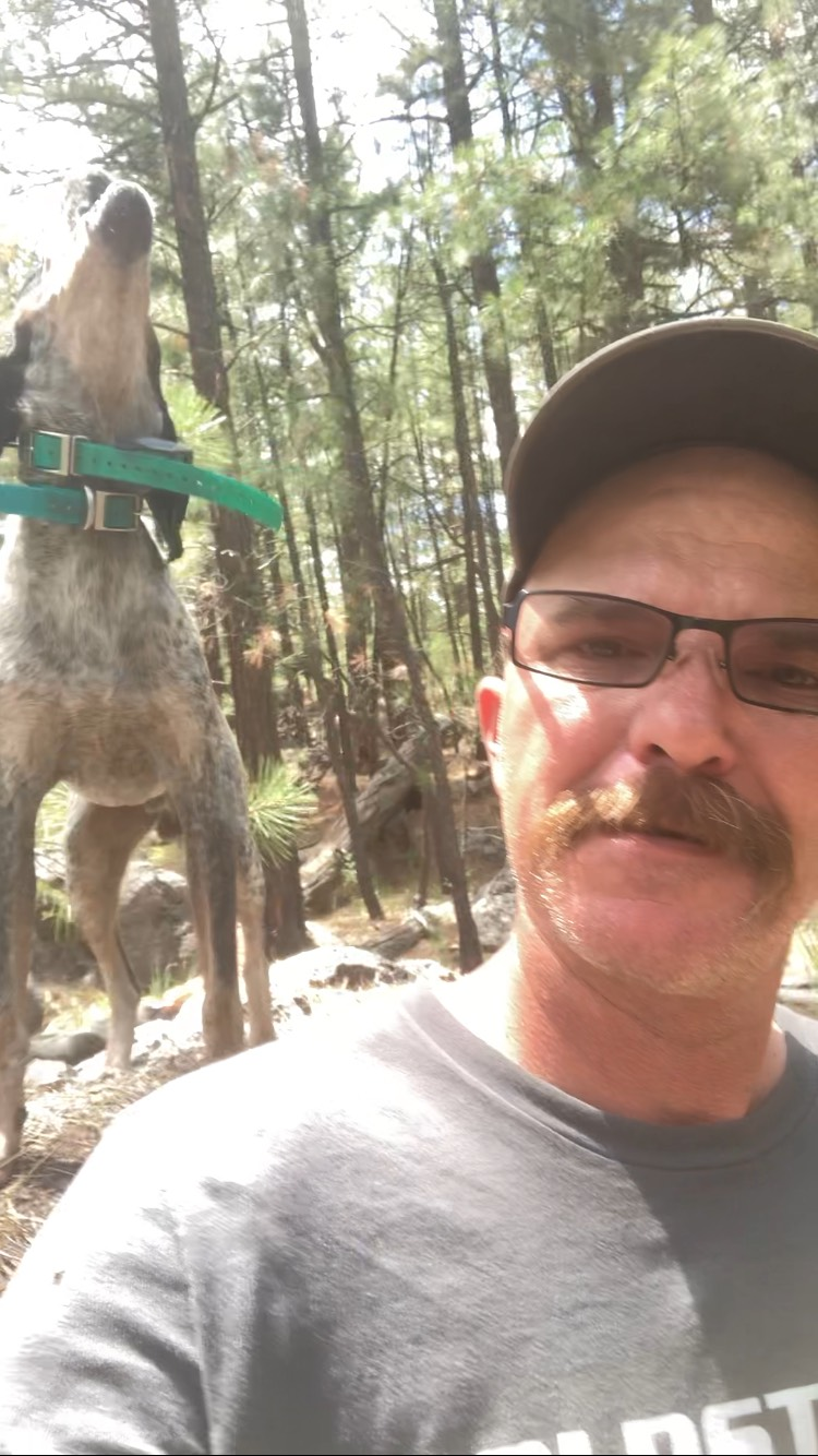 A picture of a mountain with a sun in the background.