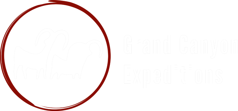 A red circle is drawn on a white background.