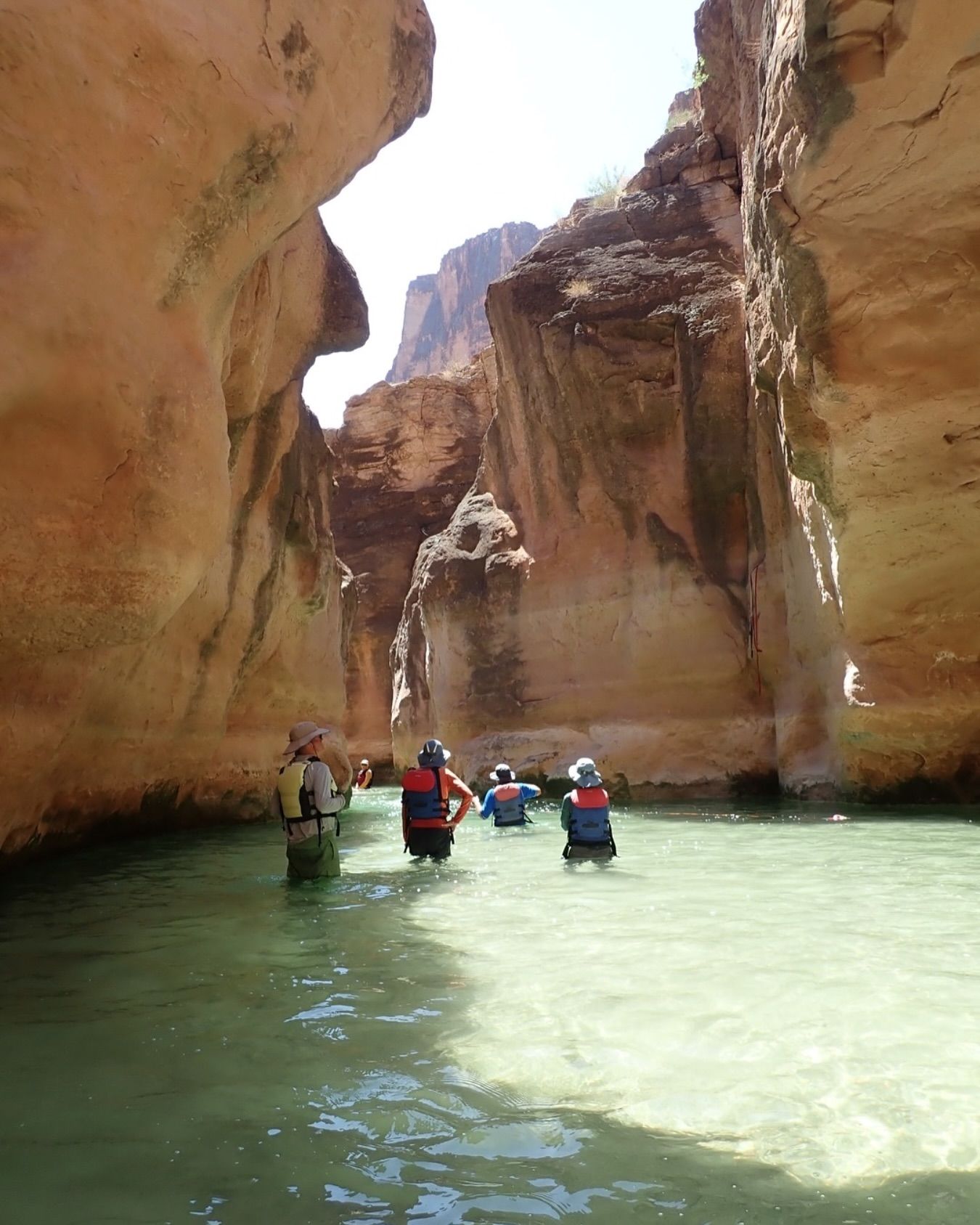 A group of people are walking through a canyon in the water