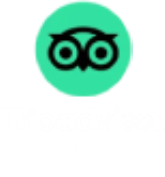 An owl icon in a green circle on a white background.