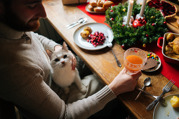 Person holding a small dog at a festive holiday table with drinks, candles, and decorations