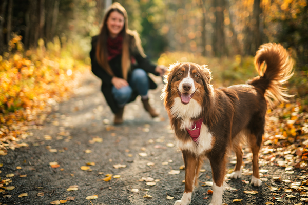 Woman kneeling on a forest path beside a brown-and-white dog with a raised tail and pink tongue.