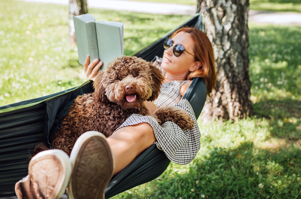 Woman in sunglasses relaxing in a hammock with a curly brown dog in a sunny park
