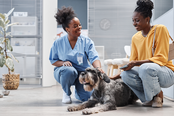 Two women smiling at a relaxed dog in a bright room with shelves and a basket nearby