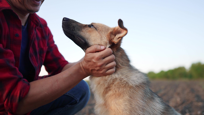 Man in red plaid shirt gently holding a dog's face outdoors in a field