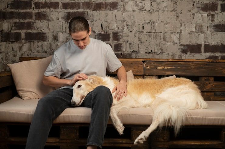 Man sitting on a couch with a large white dog resting its head on his lap