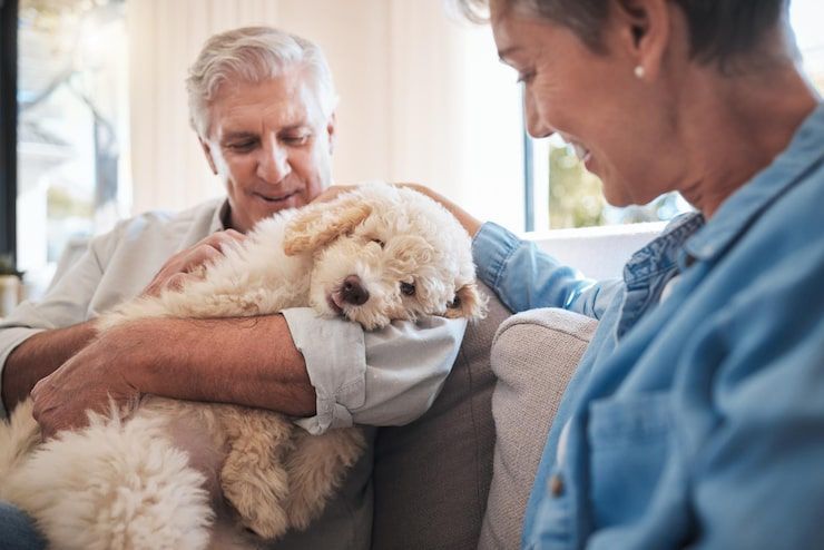 Two people gently hold a fluffy white dog indoors, with one person smiling beside it.