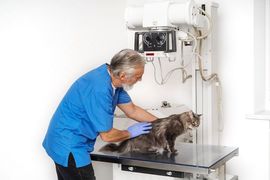 Veterinarian examining a cat on a metal exam table in a clinic, with X-ray equipment nearby