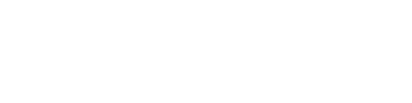 Blank white background with a faint light gray horizontal line near the center