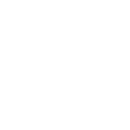 White blank image.