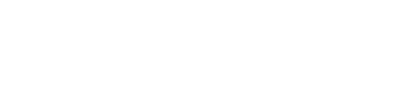 A narrow white horizontal bar with a small black border line along the bottom.