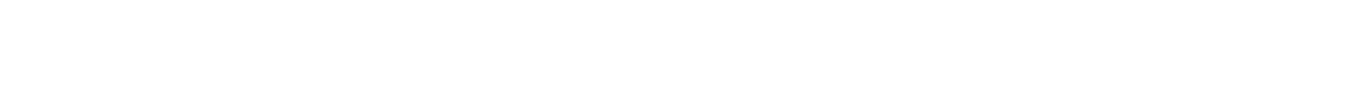 White Stroke Divider