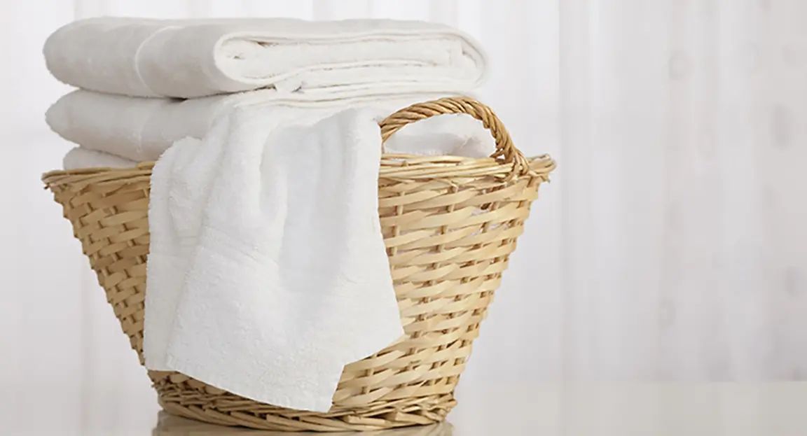 Next-Day Laundry Delivery