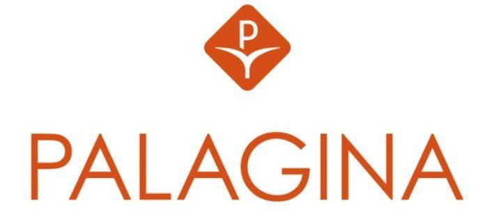 logo palagina