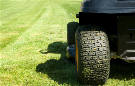 A lawn mower is cutting a lush green lawn.