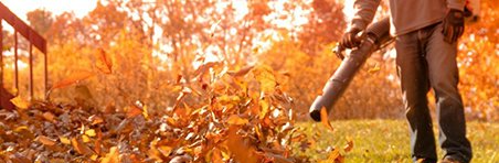 A man is blowing leaves in a park with a leaf blower.