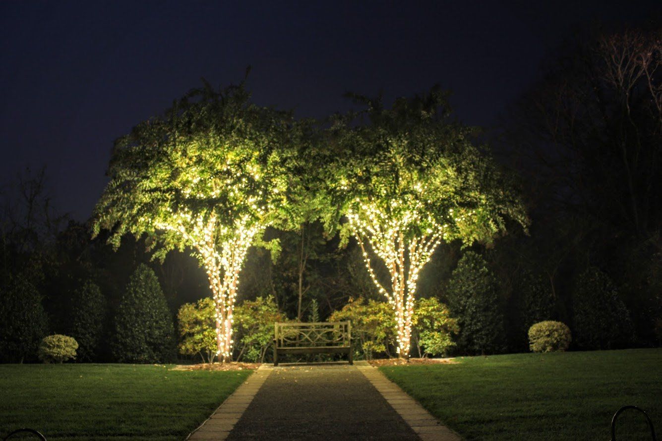 Two trees are lit up at night with christmas lights.
