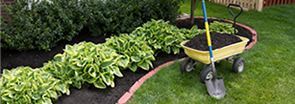 A wheelbarrow filled with dirt and a shovel in a garden.