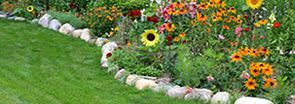 A garden filled with lots of flowers and rocks.