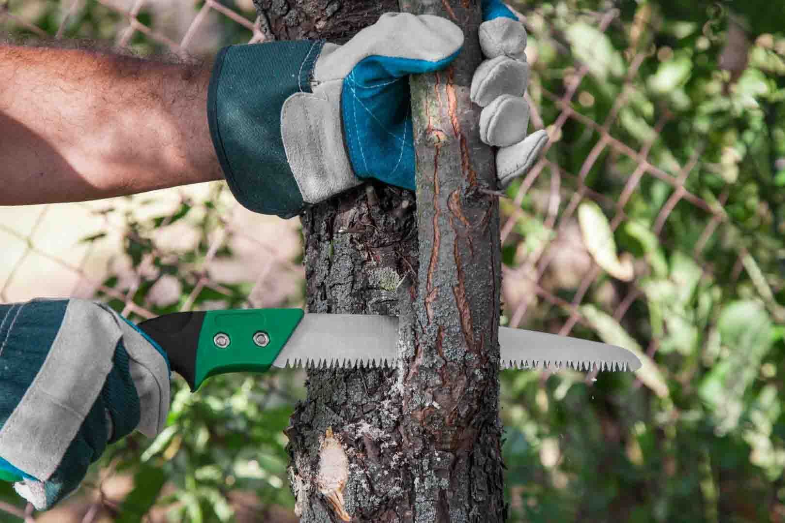 Gloved hands cutting a tree trunk with a green-handled pruning saw outdoors