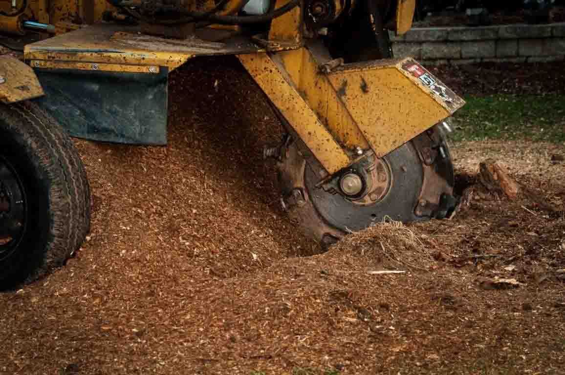 Yellow road machine digging into dirt, spraying soil and wood chips on the ground.