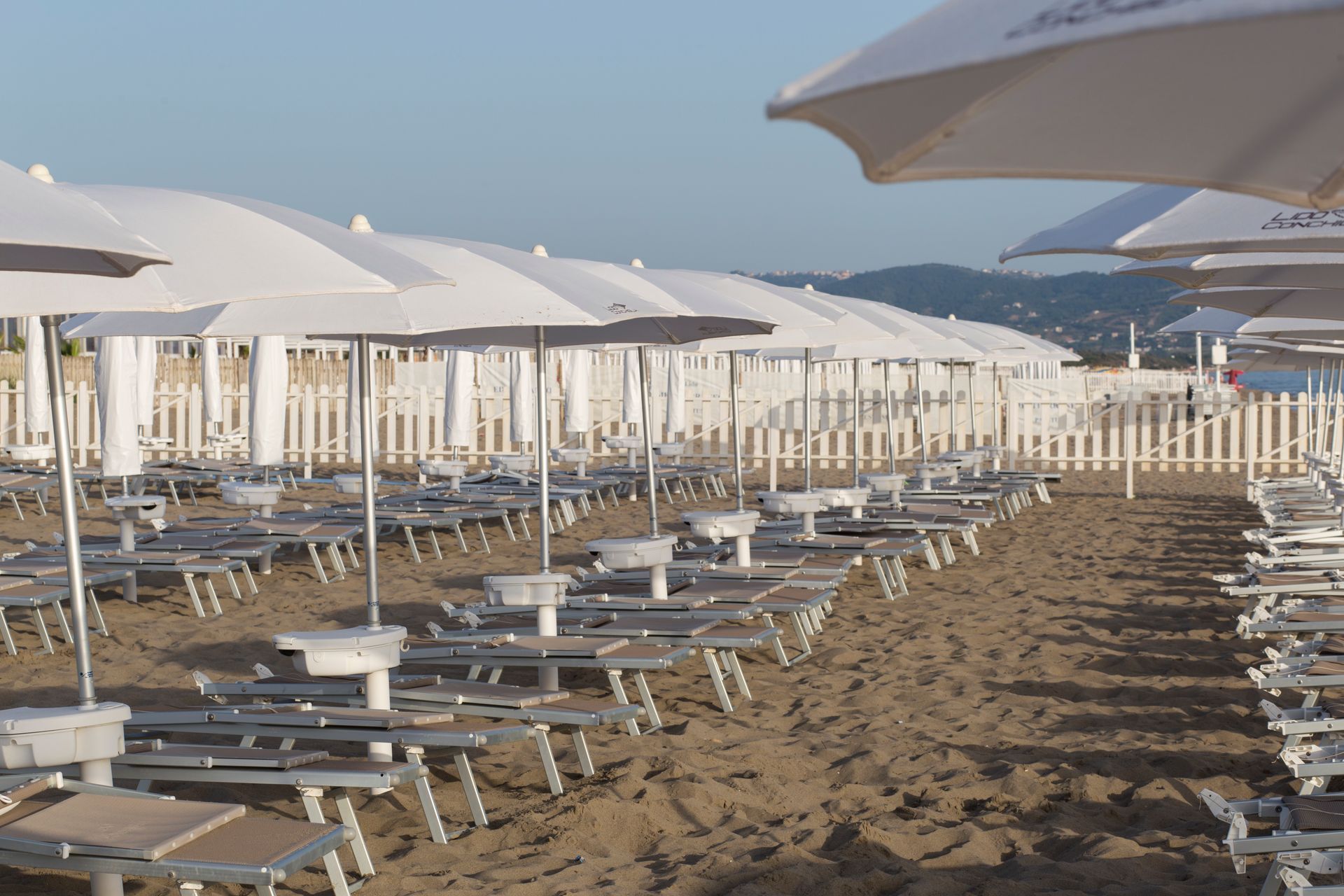 lido conchiglia