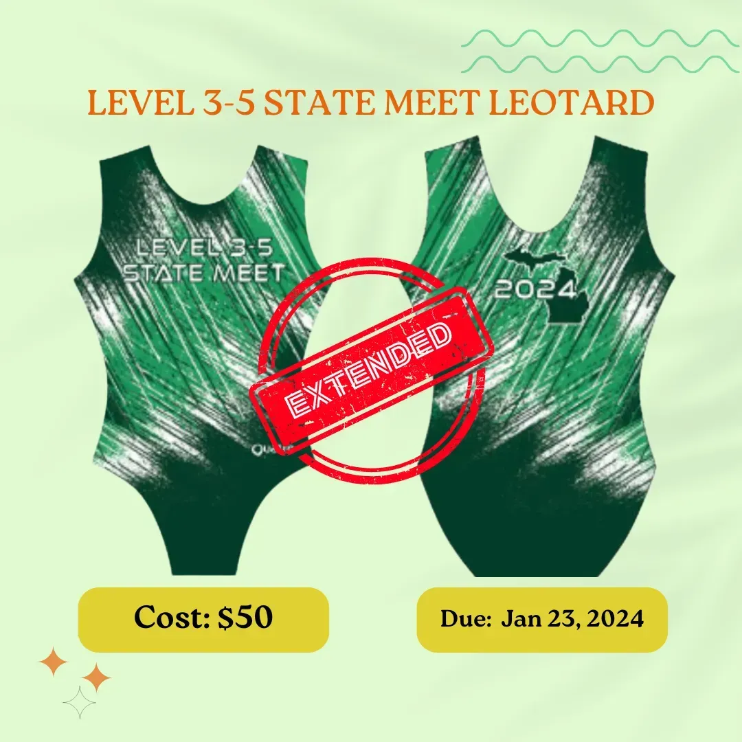 a picture of a level 3 5 state meet leotard