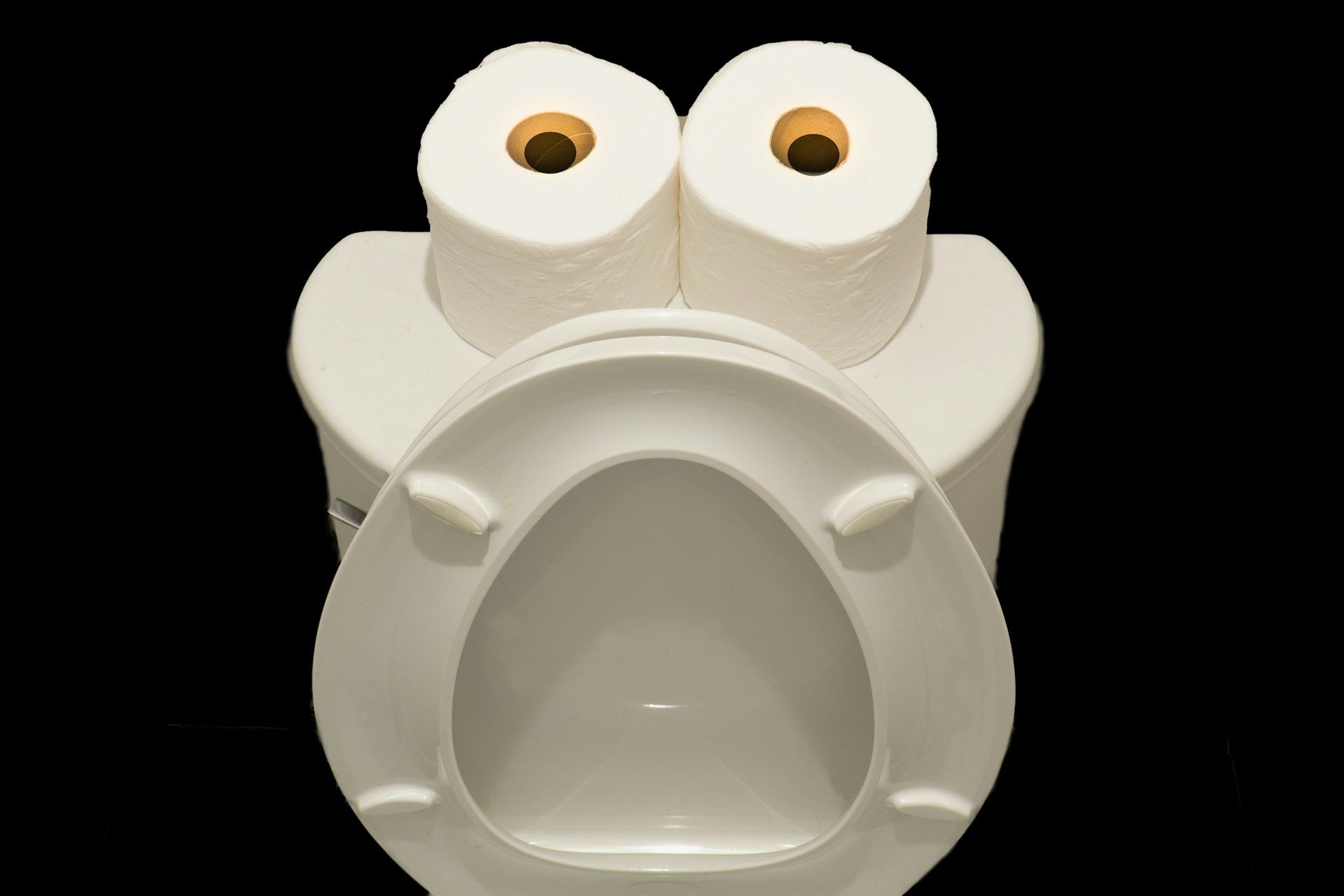 Toilet with toilet paper rolls arranged to resemble eyes.