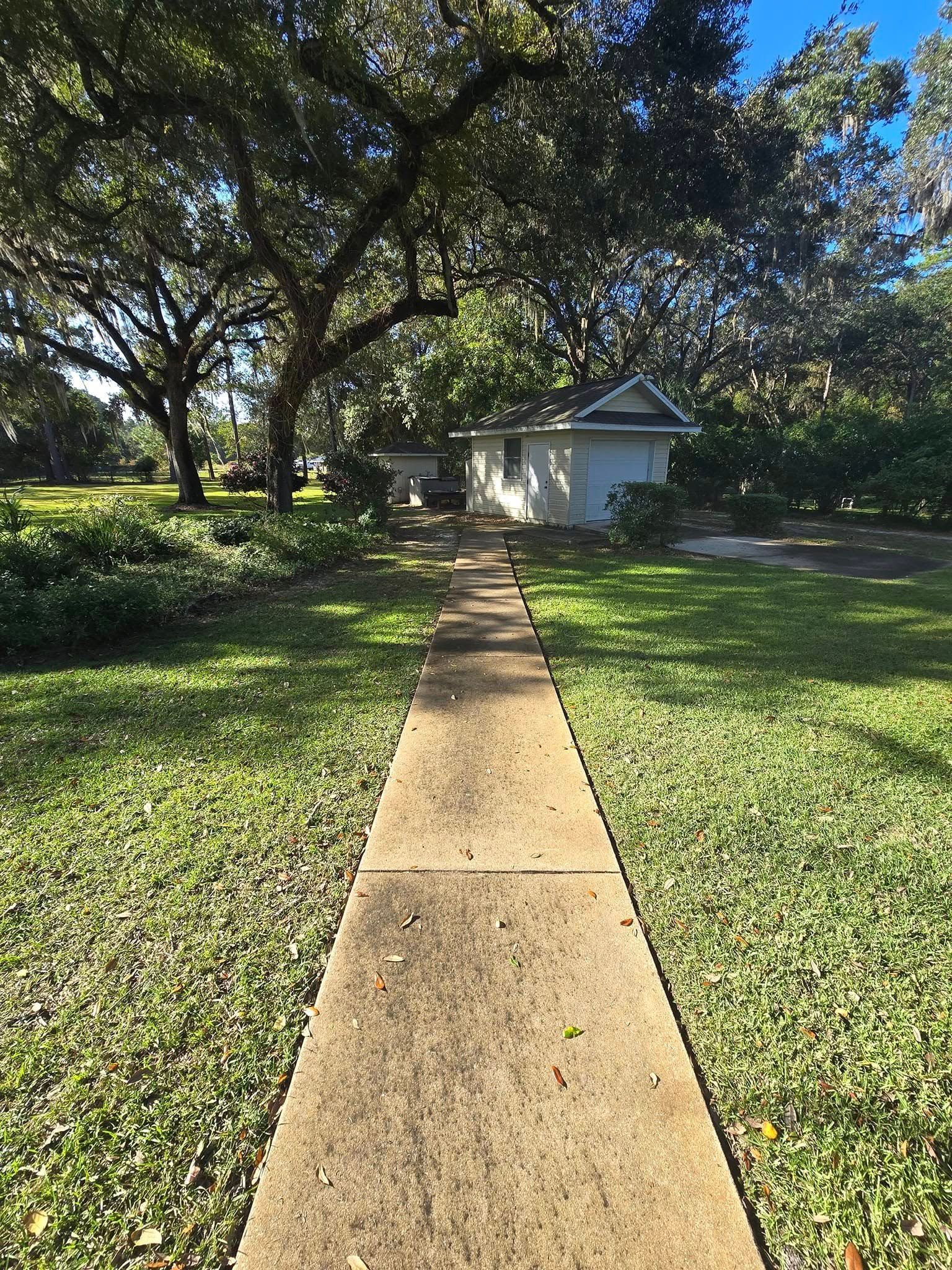A sidewalk leading to a house in the middle of a lush green yard.
