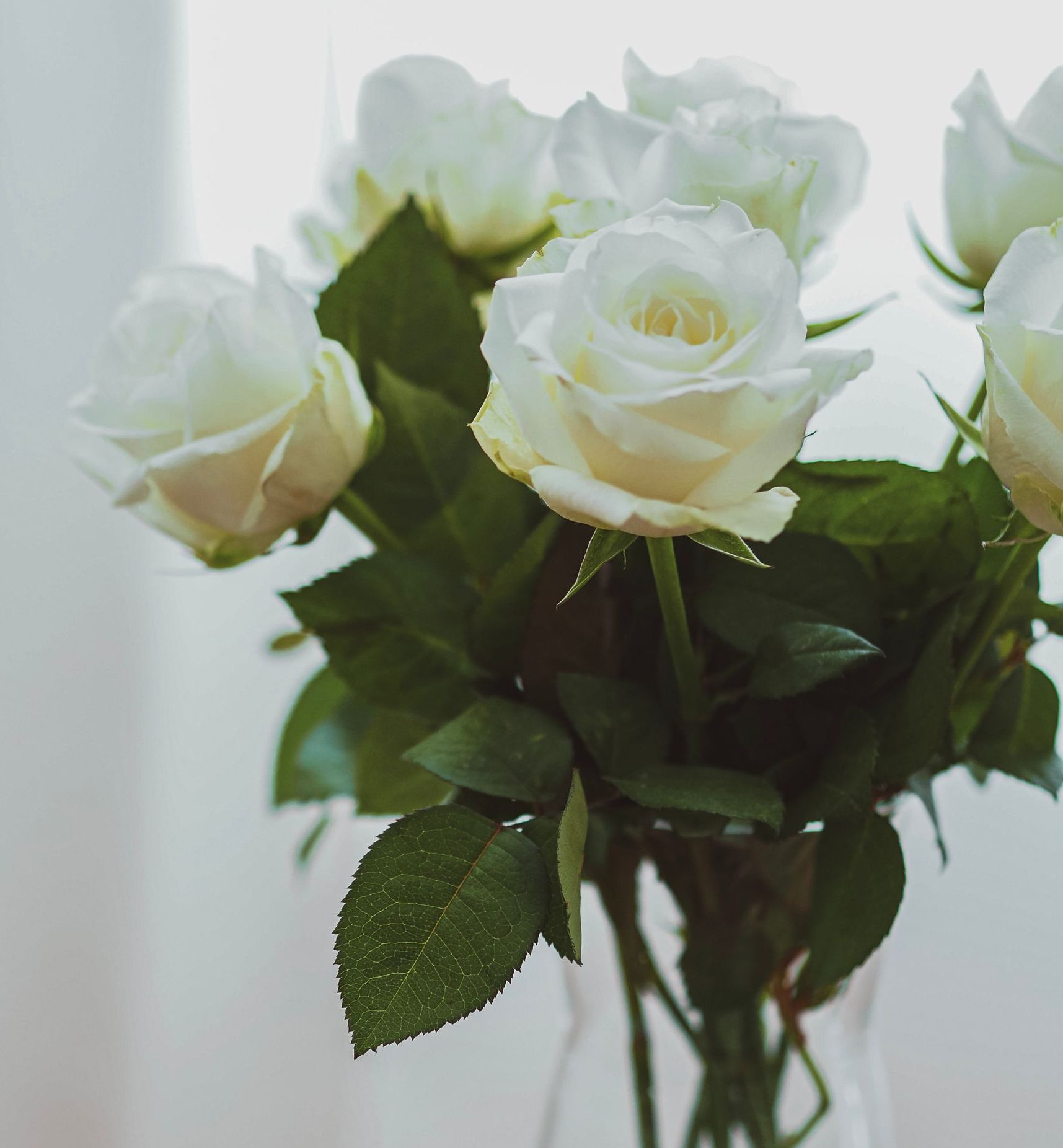 Barker Funeral Home Salem, AR