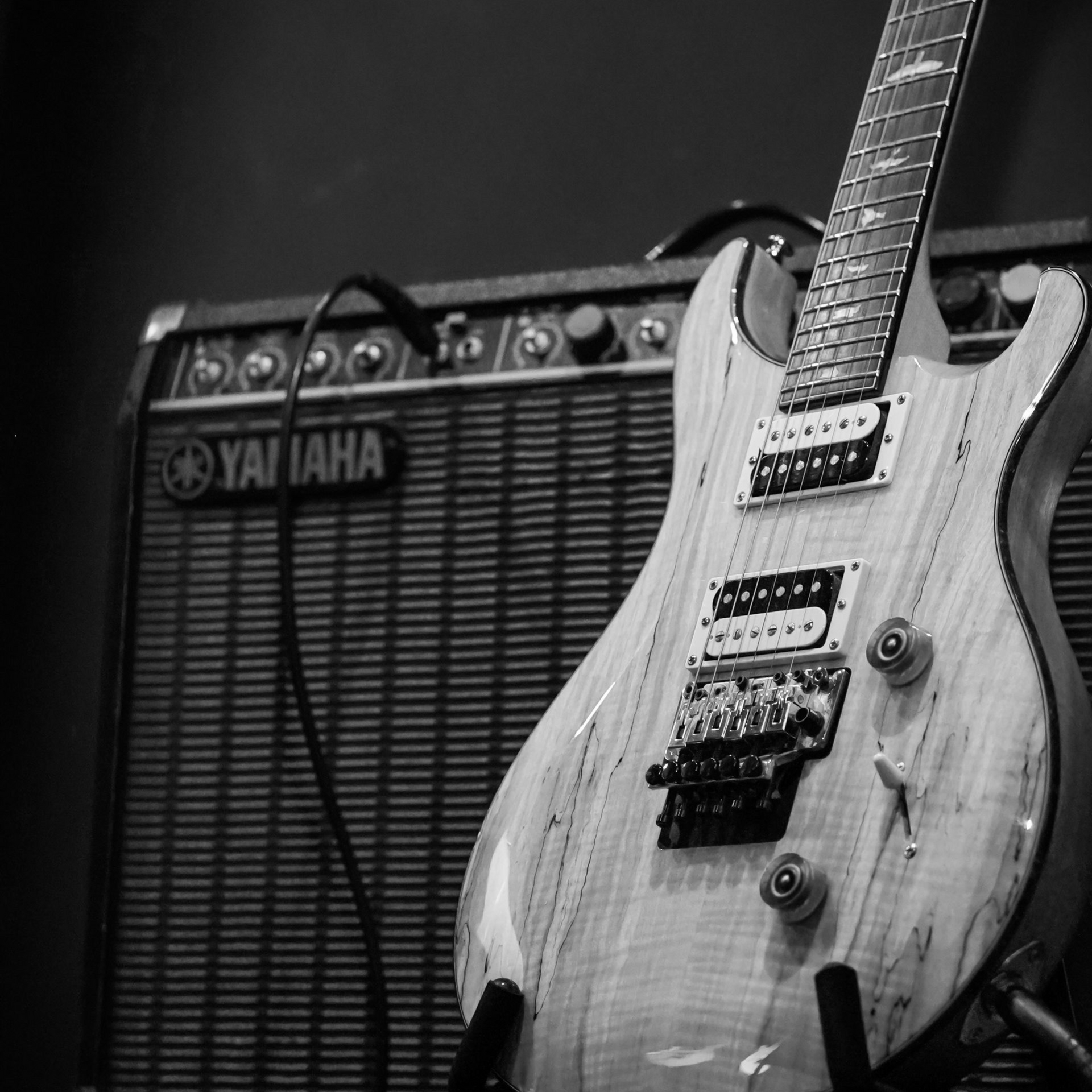 Electric Guitar Setup Workshop - Floyd Rose