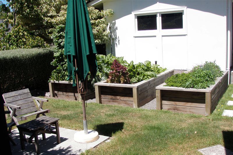Sunny backyard patio with raised planters, a white house wall, and a green umbrella over a table and chairs