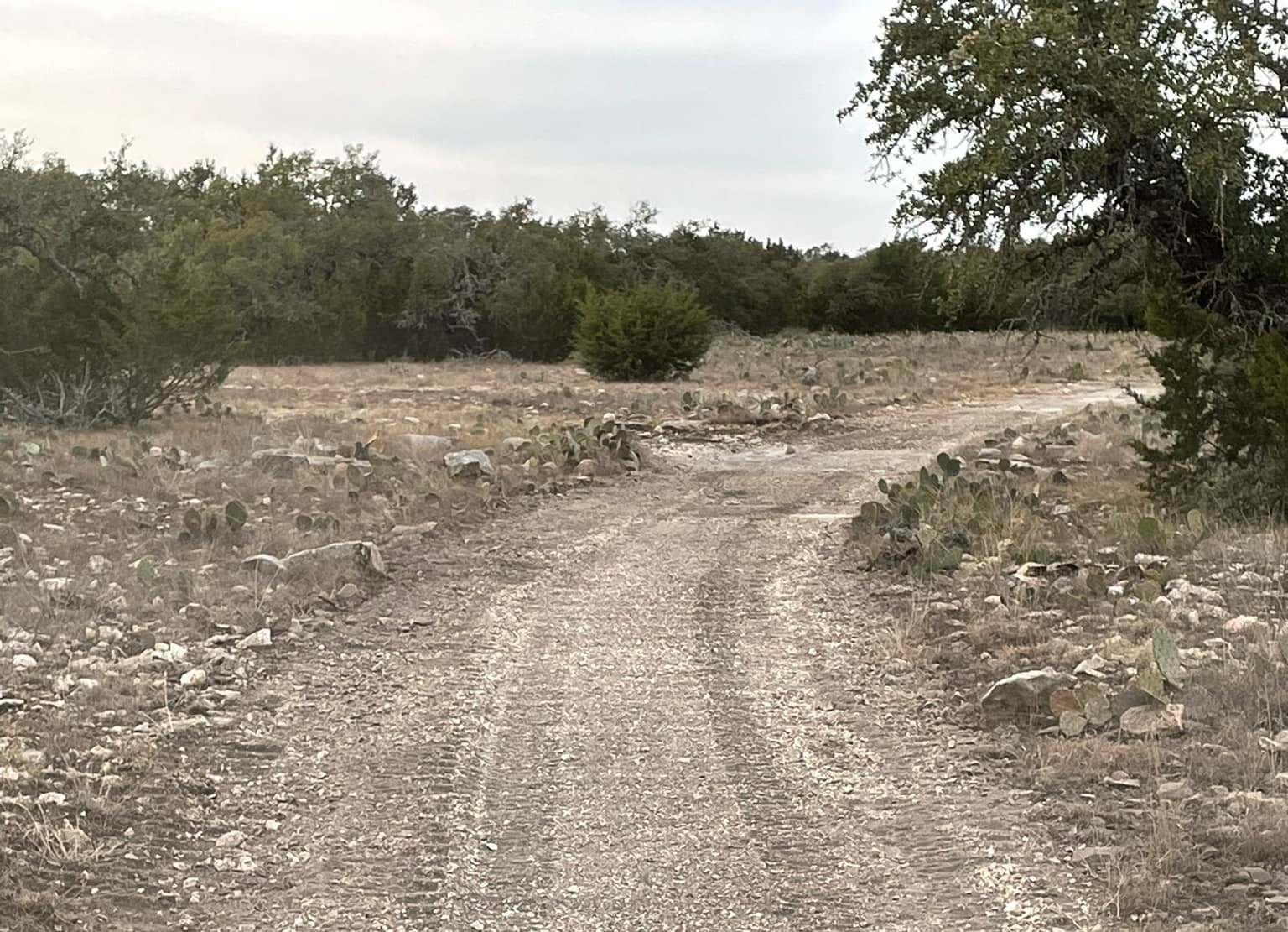 Crushing roads in Boerne TX by Langenberg Specialty Services