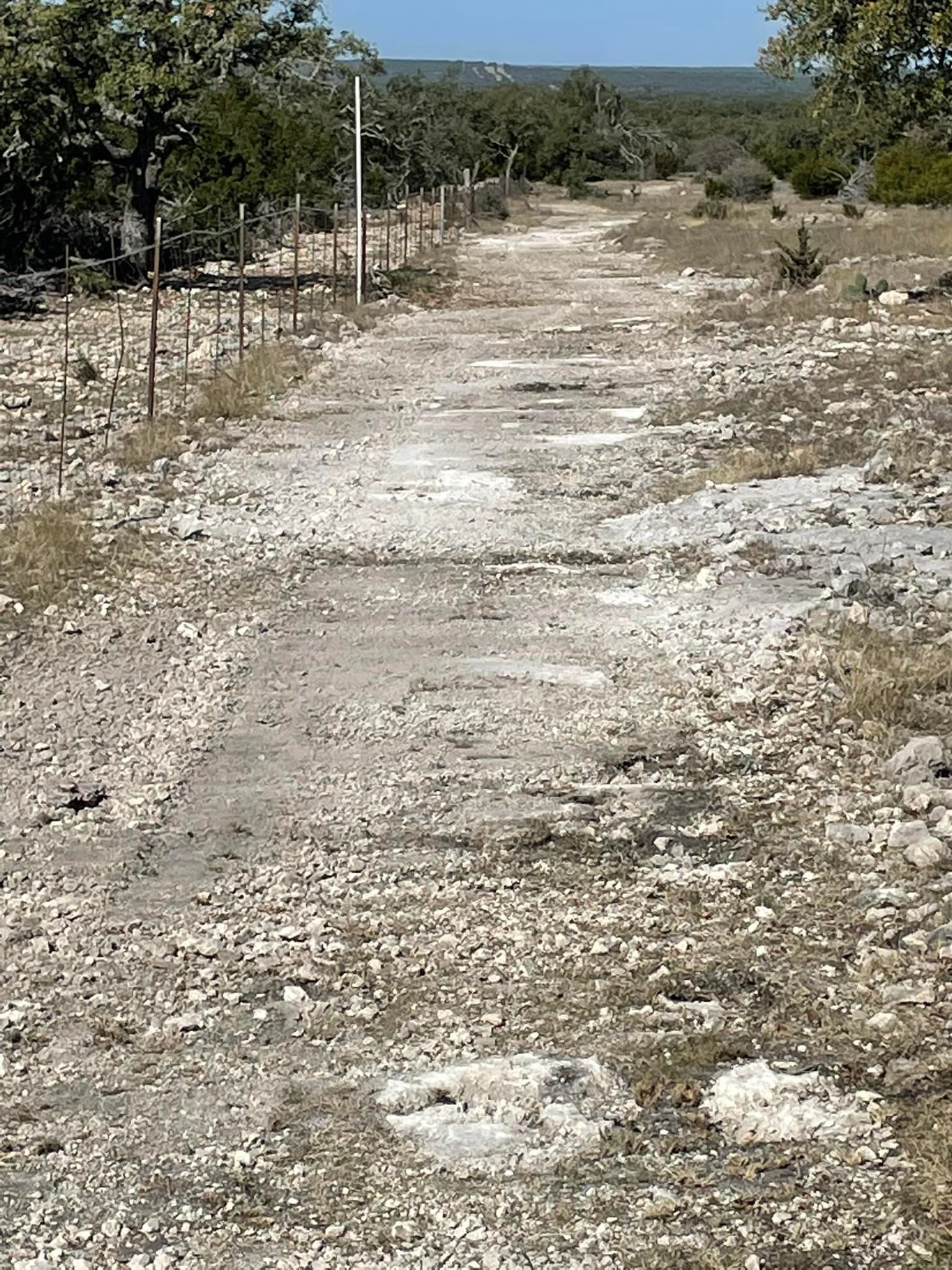 Road clearing in Boerne TX by Langenberg Specialty Services