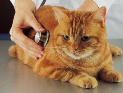  - PRODUCTOS BIOLÓGICOS