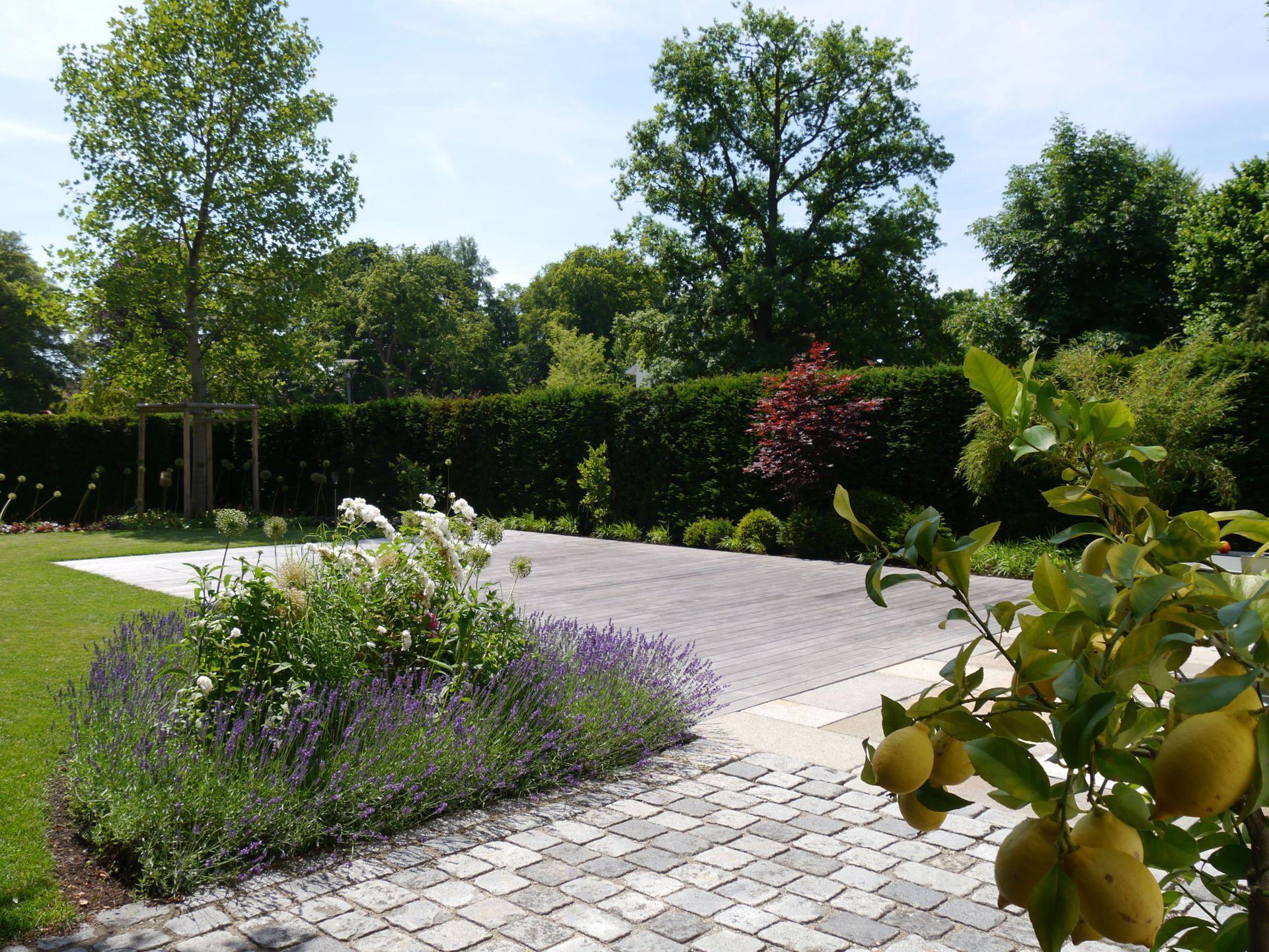 Sebastian Raschauer, Landschaftsarchitekt, Garten, Privatgarten,  Gartengestaltung, Umgestaltung, Neugestaltung, Bauantrag, Genehmigungsplanung, Werkplanung, Bauleitung, Projektleitung, Terrassen