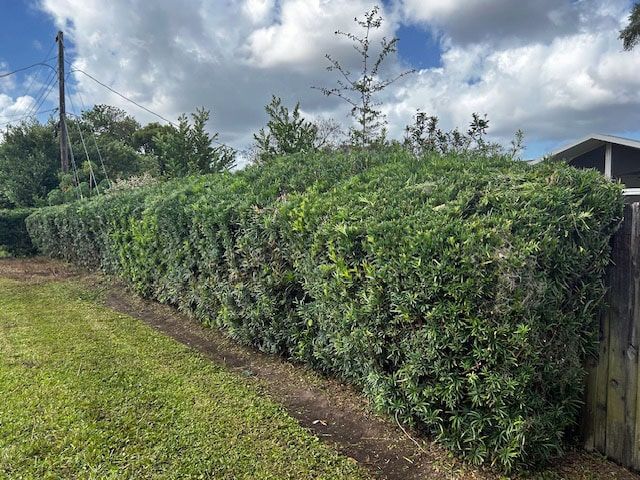 A lush green hedge surrounds a wooden fence in a yard.