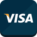 LOGO VISA