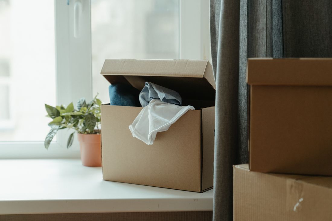 Packed moving boxes by a bright window, one box open with tissue paper and a plant nearby