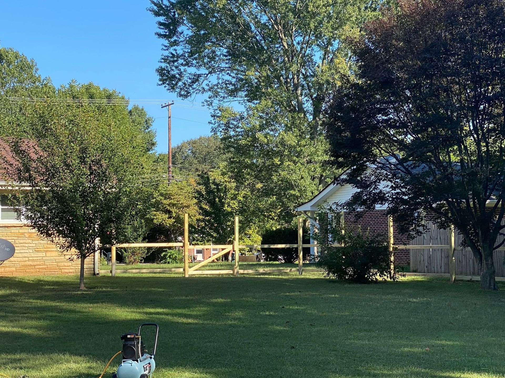 Backyard lawn with trees, a wooden fence, and a small shed in bright sunlight