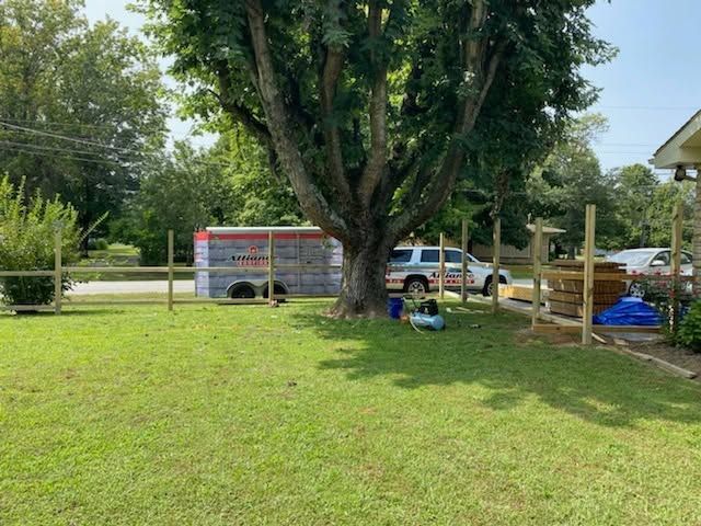 Large tree in a grassy yard with a parked vehicle and a fence in the background.