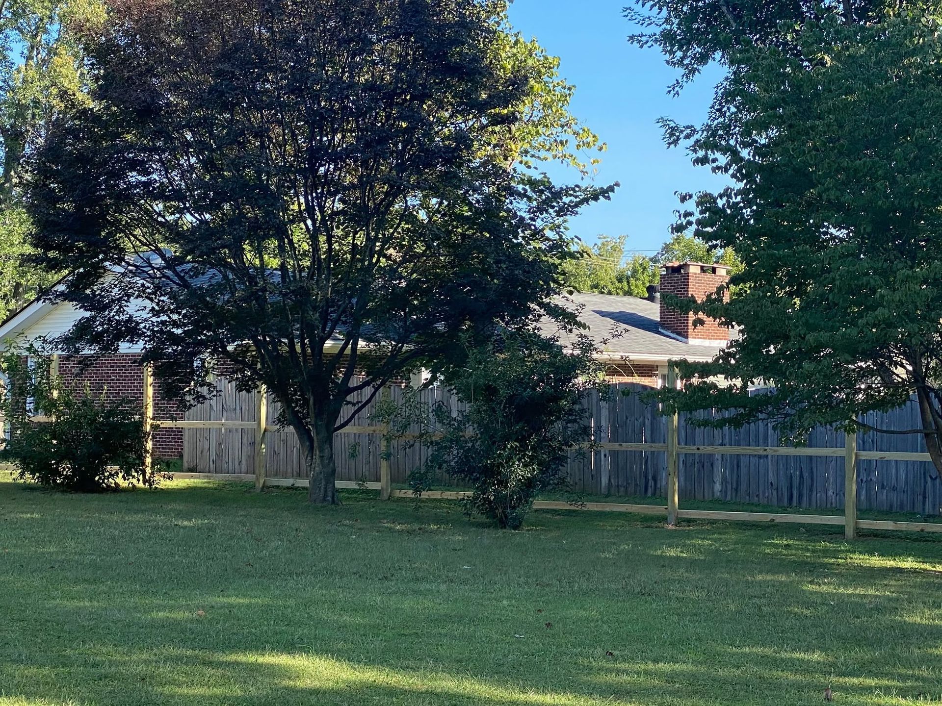 Sunny backyard with green lawn, large trees, and a wooden fence behind a house
