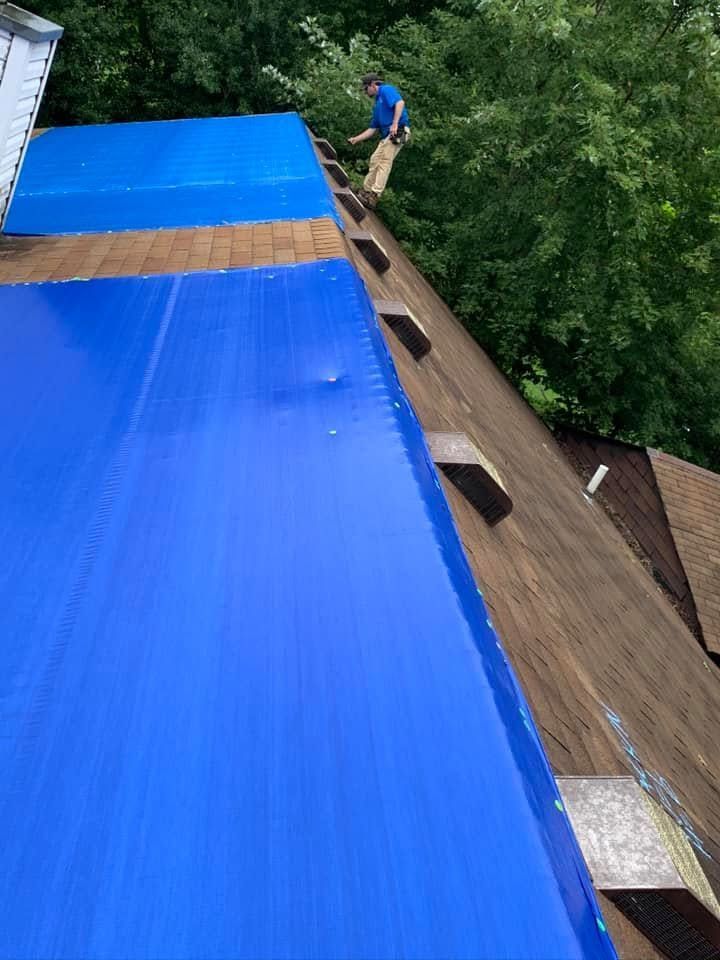 Person standing on a steep roof covered with blue tarps and wooden planks near dense trees