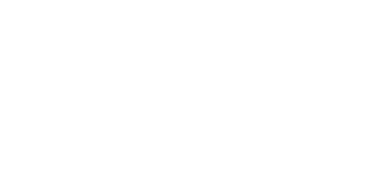 Blank white rectangle with a thin black border on the right and bottom edges.