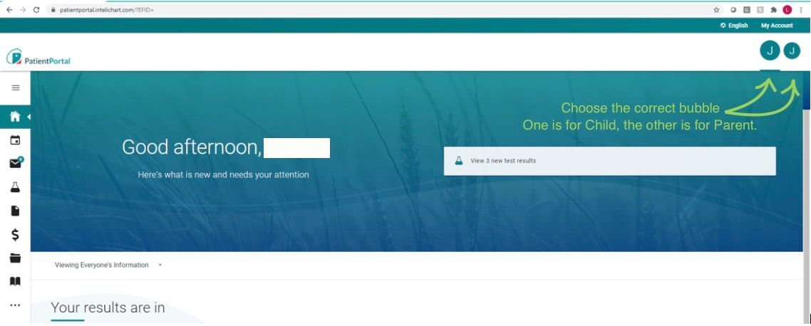 Web interface,
