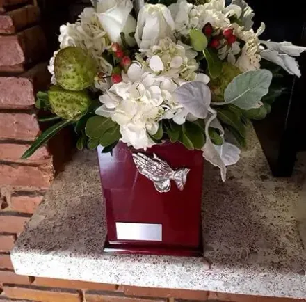 Kairos Agencia Funeraria