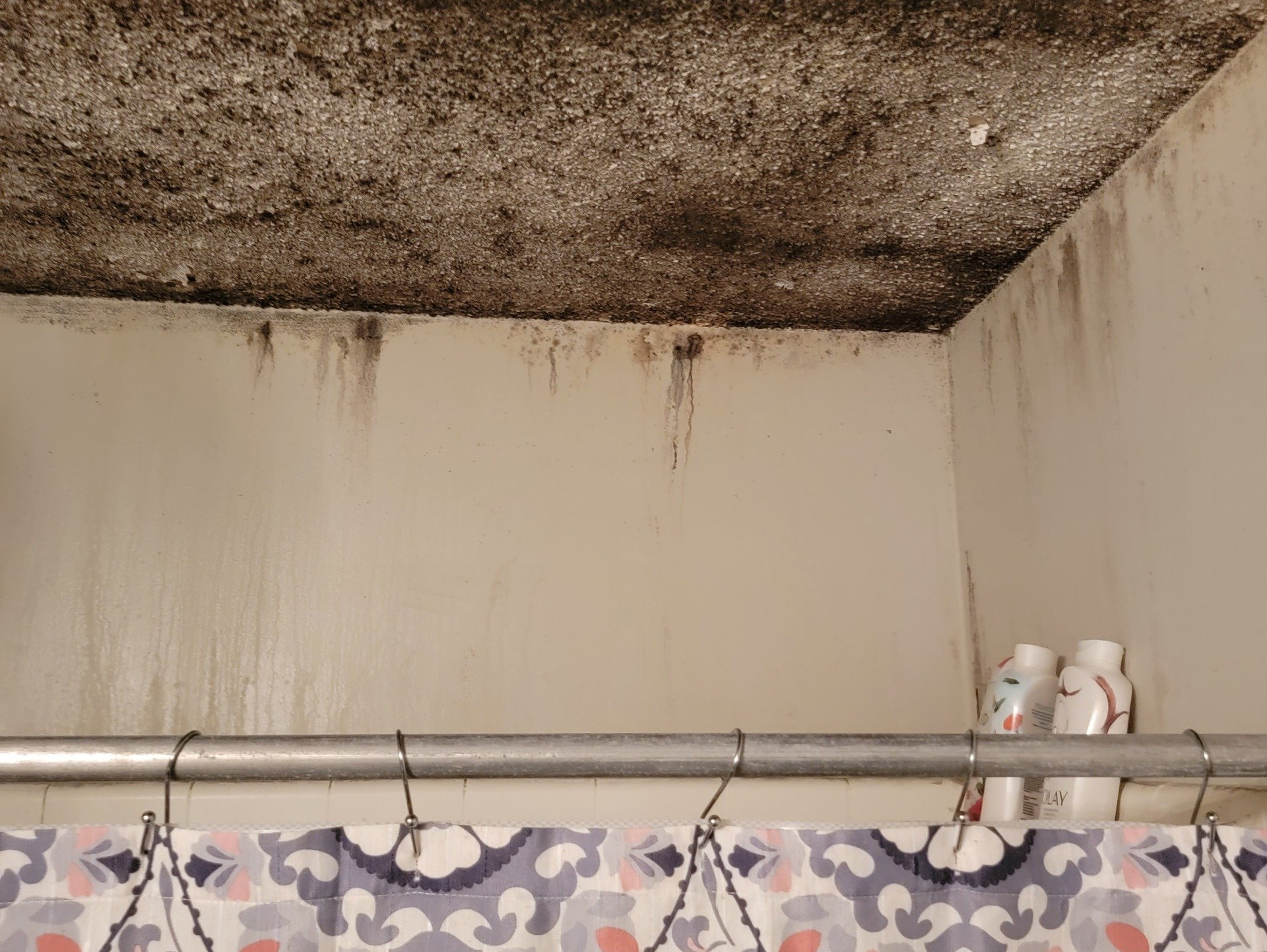 Mold-streaked ceiling and wall corner above a curtain rod with two small decorative birds