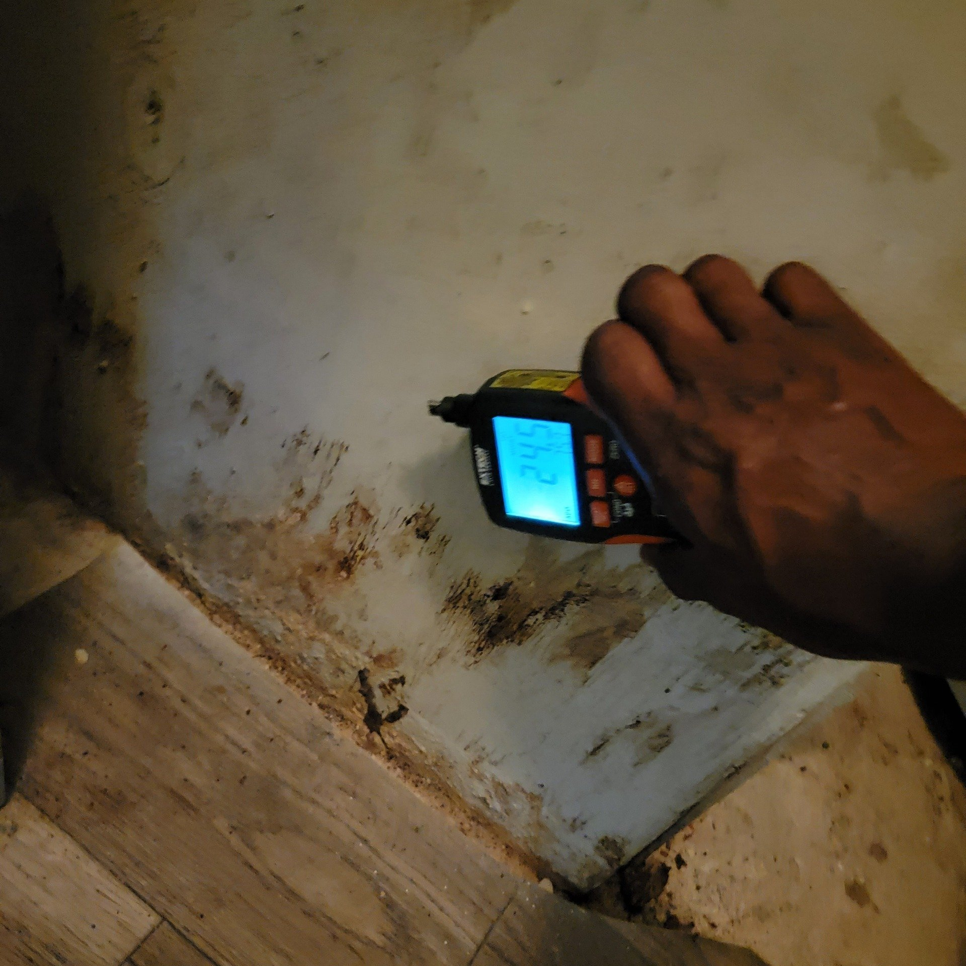 Hand holding a digital meter near a stained wall and floor corner.