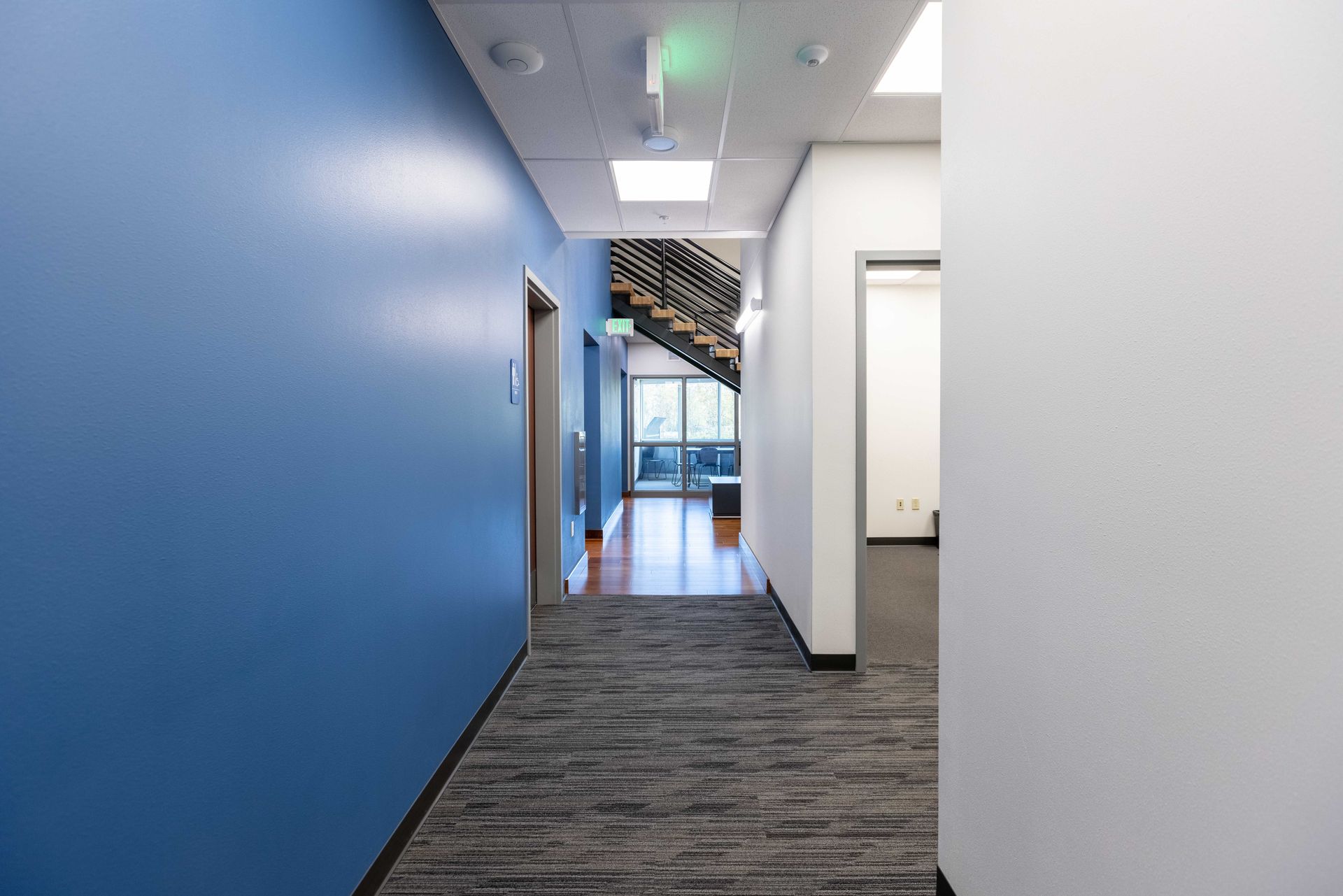 Empty office hallway with blue wall, gray carpet, and glass doors at the far end