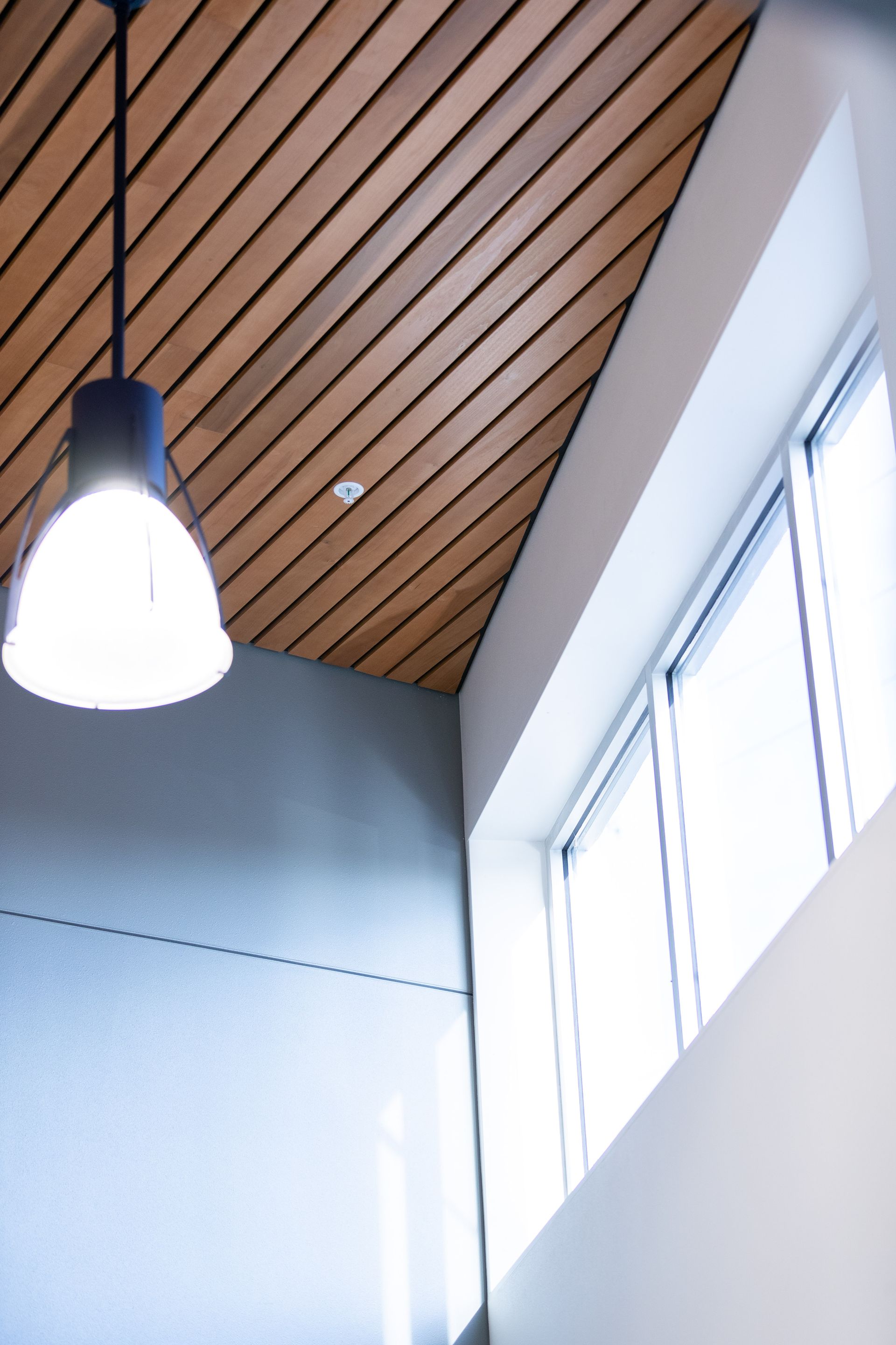 Modern stairwell with wood slatted ceiling, hanging light, and tall sunlit windows